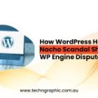 How WordPress Hot Nacho Scandal Shapes WP Engine Dispute