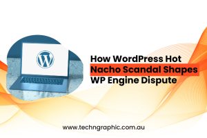 How WordPress Hot Nacho Scandal Shapes WP Engine Dispute-01